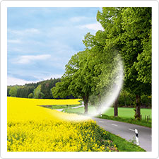 Unerwünschter Augenreflex (computersimuliert)